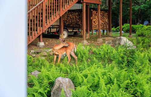 5mi to Big Boulder Hot tub Patio Firepit Fast WiFi - Foto 23