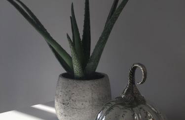 Apartament Bora Stronie Śląskie - Foto 12