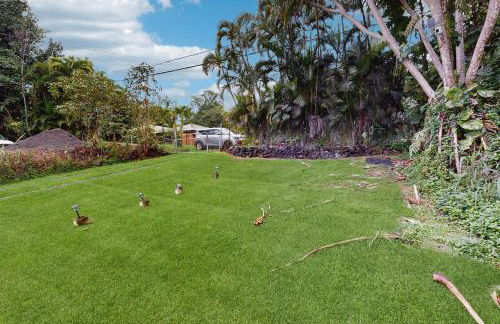 Opakapaka Ohana - Photo 21