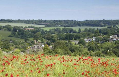 The Old School - Foto 20