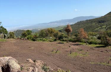 Villa Veronica - Photo 23