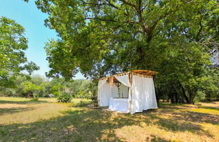 Masseria Procacci - Foto 25