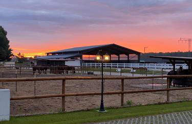 Hengstresort Velten - Foto 12