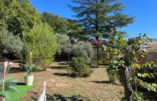 La maison aux oiseaux - Luberon - Foto 8