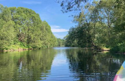 Ferienwohnung an der Zschopau - Foto 23