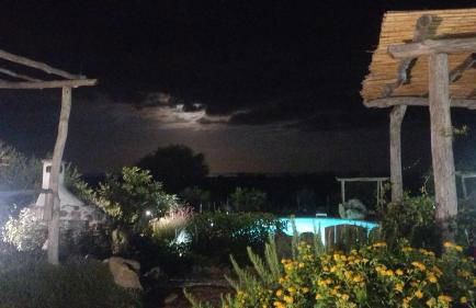 Cuccuru Relax - B IUN Q9882 - Foto 69