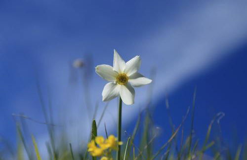 Agriturismo La Cascina di Opaco - Foto 25