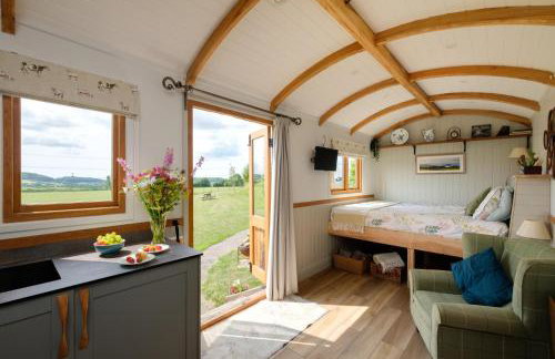 The Acorn - Luxury Shepherds Hut hot tub panoramic views - Foto 1