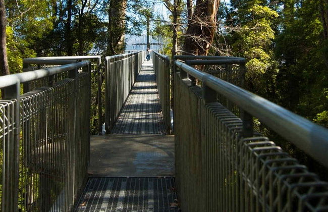 Excursion dans la vallée de Huon et aux grottes d'Hastings - Photo 8