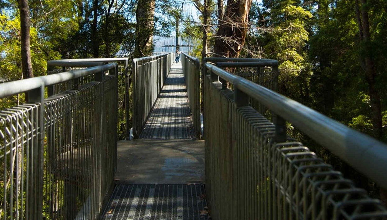 Huon Valley and Hastings Caves Day Trip