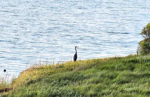 Pat's Perch - Foto 18