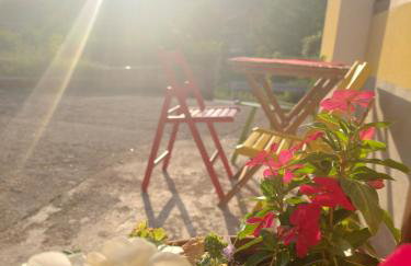 Arabeska Majeli - Photo 10