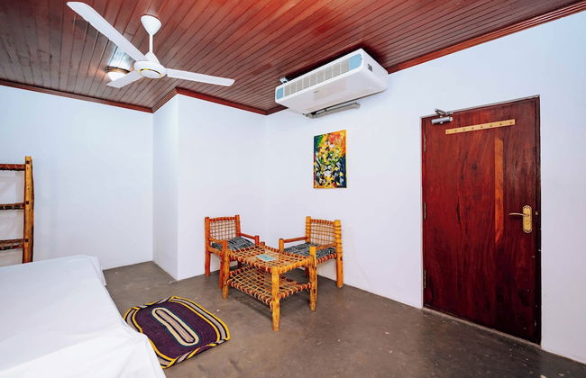 JUMBA LA TRENI - Foto 4