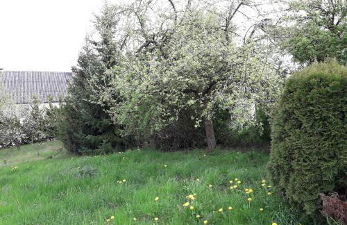 Vakantie boerderij De Boerenzwaluw - Foto 39