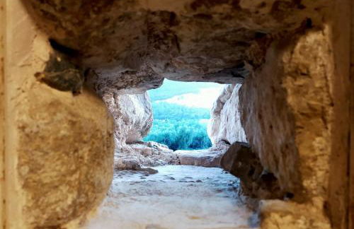 El Castell de Segueró - Foto 29