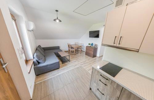 Energylandia Domki-Apartamenty u Agi G - Foto 10