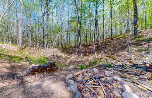 Backwoods Getaway - Foto 29