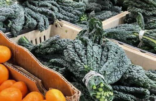 Garden Oasis Cozy Home Near Bart Shop with Parking - Photo 59