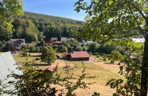 Ferienhaus Buren-Hof - Foto 31