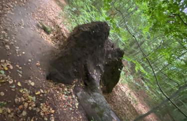 K 357 - Low budget Hotel in Ratekau bei Lübeck - Foto 24