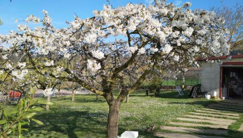 Casa - Chalet Madera Canadiense - Foto 5