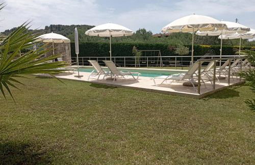 Alex House - Foto 47