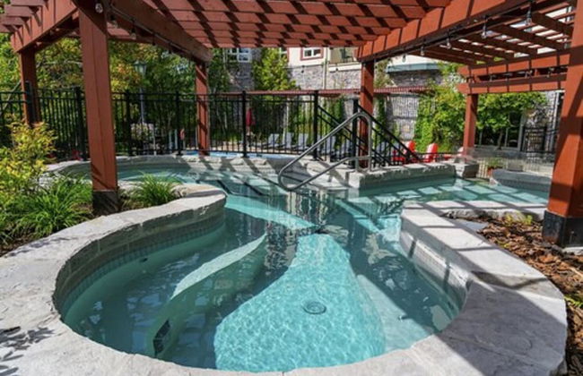 Sommet des Neiges - Foto 33