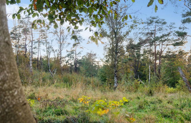 "Rami" - 2km from the sea - Foto 6