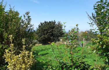 Apartamentos y Casa La Paredana, agroturismo - Foto 39