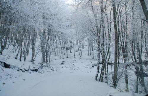 Casa Consta Olympus - Photo 36