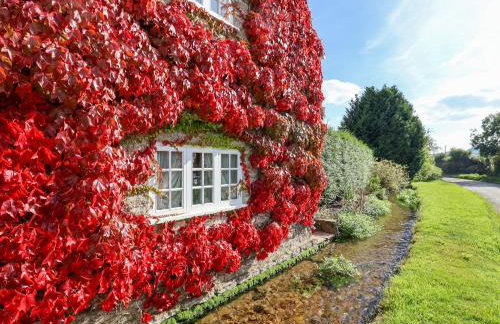 The Cheesehouse - Foto 35