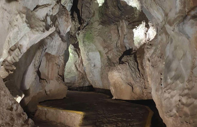 Tour de bicicleta pelo Valle de Viñales - Foto 6