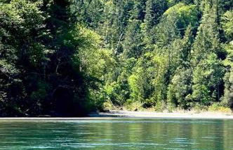 Avenue of the Giants River View Home (#1) - Foto 37