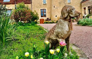 Manoir de La Barre Ceton - Foto 12