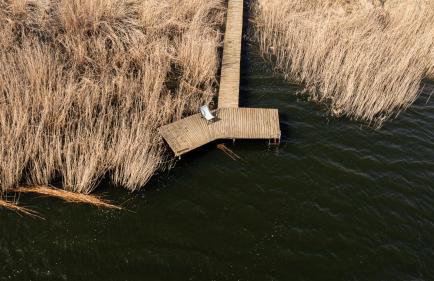 Siedlisko Pozorty - Foto 3