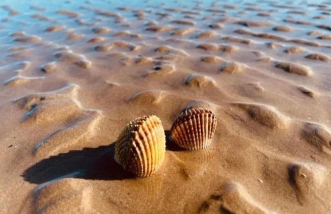 Apartment by the Marotta Beach - Foto 28