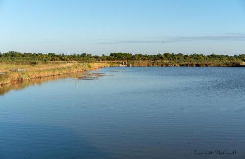 Résidence Les Alcyons - Foto 82