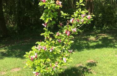 Gîte du Grand Sancerrois - Foto 24