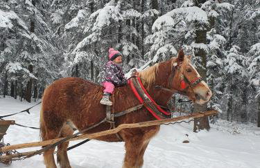 Dom na Kamieńcu - Photo 52
