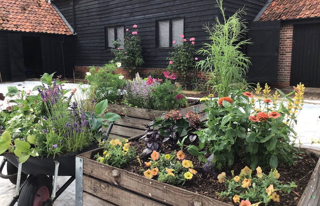 Fazeboons Barn - Foto 28