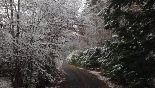 1894 Catskills Farmhouse Retreat - Foto 4