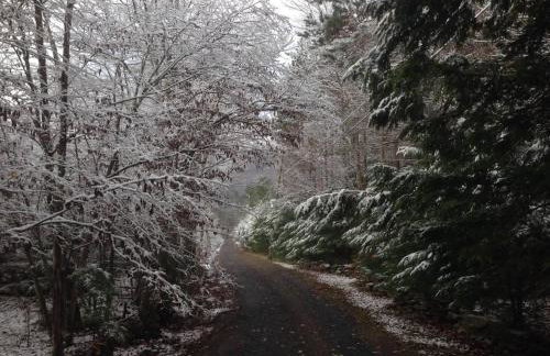 1894 Catskills Farmhouse Retreat - Foto 4