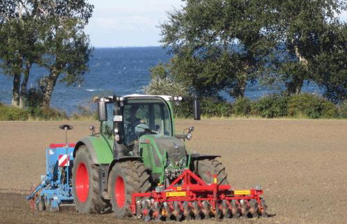 Ferienbauernhof Liesenberg Meerblickhaus Strandmuschel - Foto 38