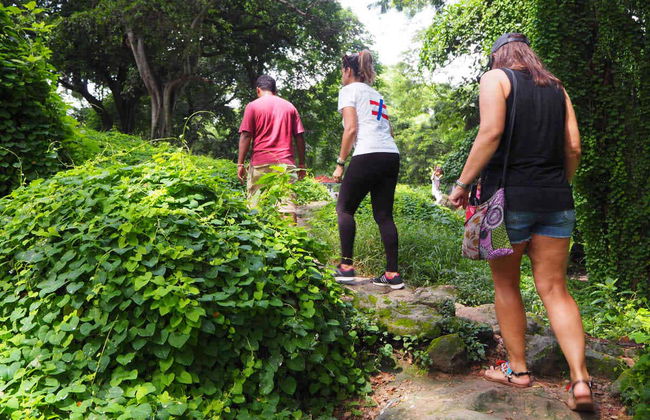 Rock Climbing in Mogote del Valle - Photo 2