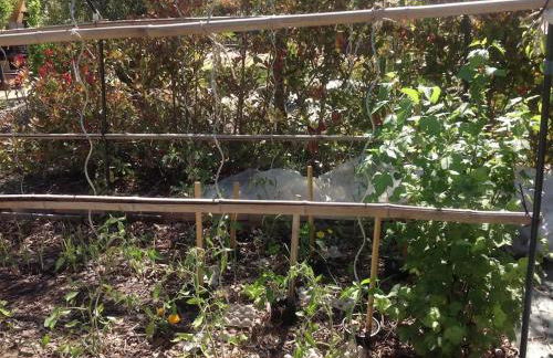 Gers habitation - Photo 72