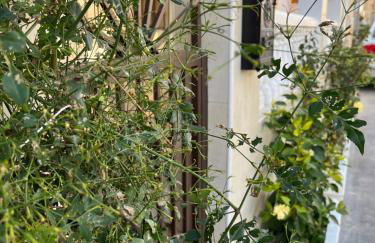 La Marina Urb, Beautiful 4 bedroom House, Alicante, San Fulgencio, Spain - Foto 12