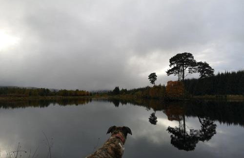 Mike's 3-bedroom Countryside Cottage - Foto 50