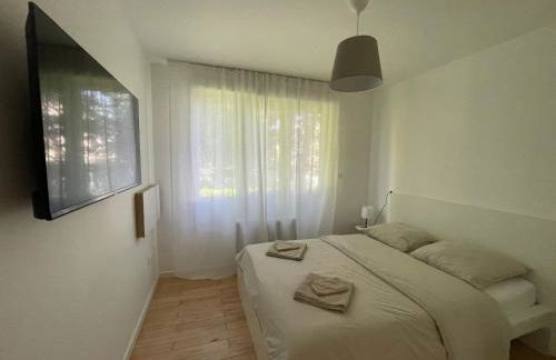 Olivier du ciel ODC - Photo 8