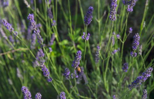 Agriturismo Tripala - Foto 71