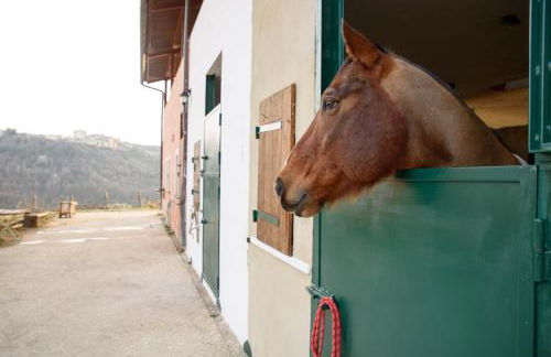 La Tenuta - Resort Agricolo - Foto 24